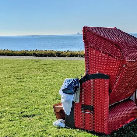 Der Kleine Hans - Gardels Basics